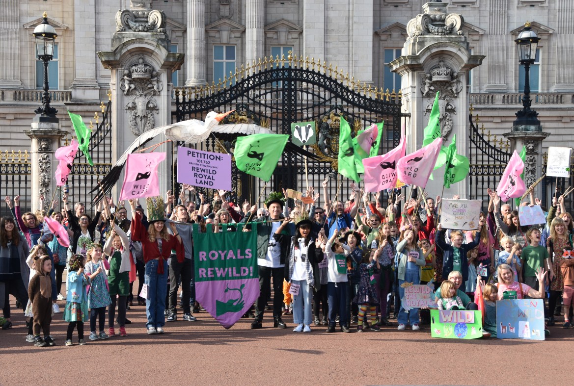 College strikers establish on the Royals to rewild their land