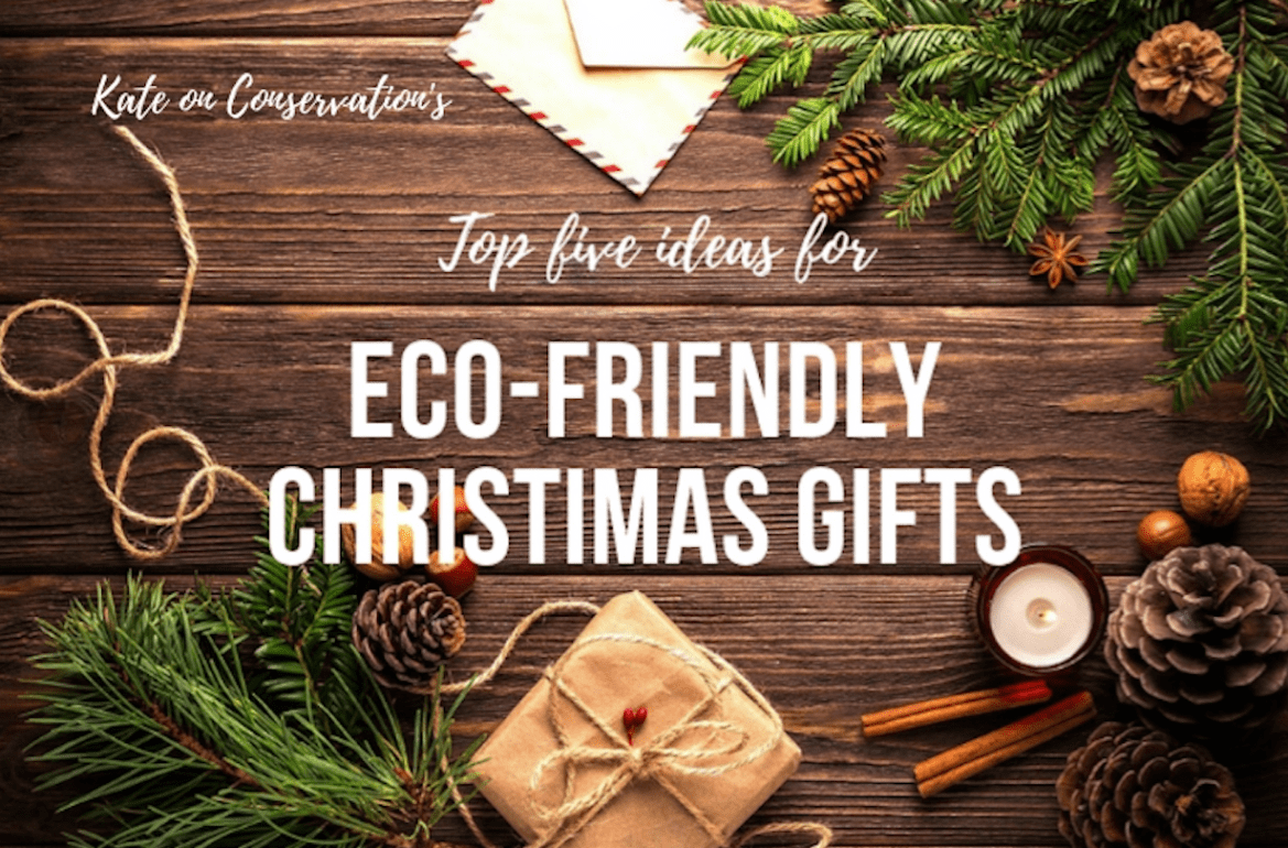 Prime 5 eco-friendly present concepts